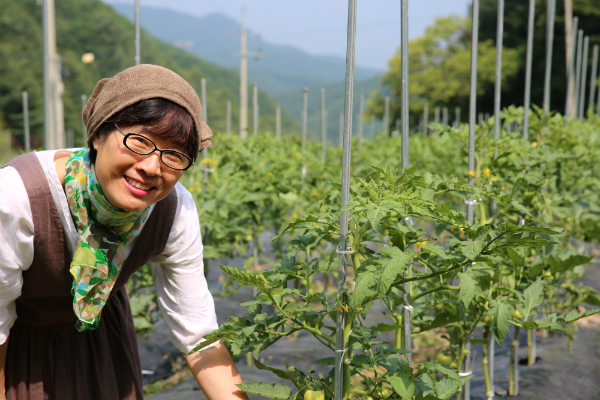 숲속고요마을 수천평의 밭에 직접 친환경 유기농 농사를 짓습니다.