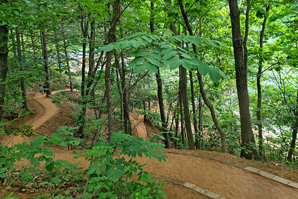 황톳길 맨발걷기 어싱(Earthing)