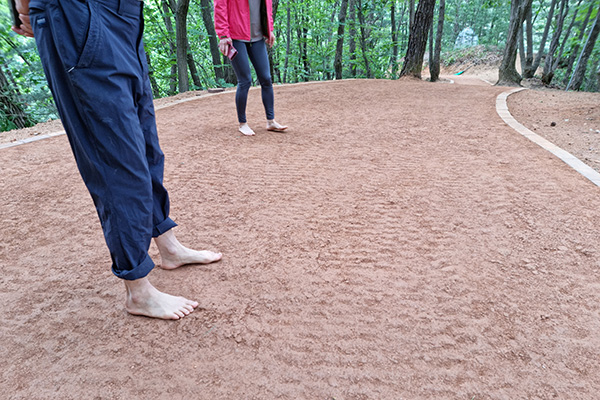 황톳길 맨발걷기 어싱(Earthing)